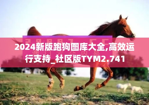 2024新版跑狗图库大全,高效运行支持_社区版TYM2.741