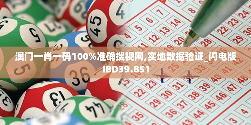 澳门一肖一码100%准确搜视网,实地数据验证_闪电版IBD39.851
