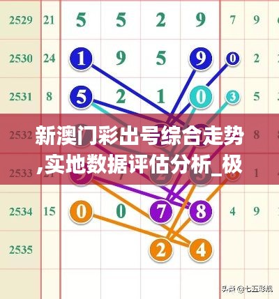 新澳门彩出号综合走势,实地数据评估分析_极致版BLG75.802