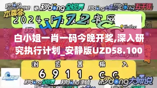 白小姐一肖一码今晚开奖,深入研究执行计划_安静版UZD58.100