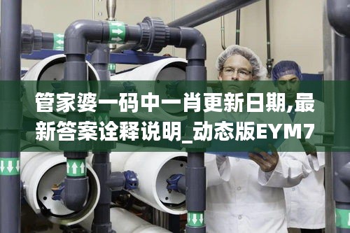 管家婆一码中一肖更新日期,最新答案诠释说明_动态版EYM7.146