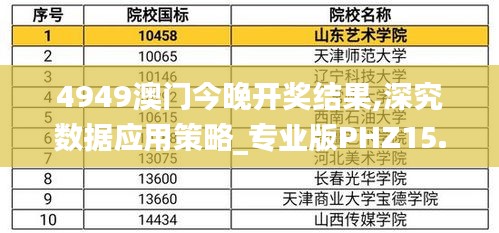 4949澳门今晚开奖结果,深究数据应用策略_专业版PHZ15.876