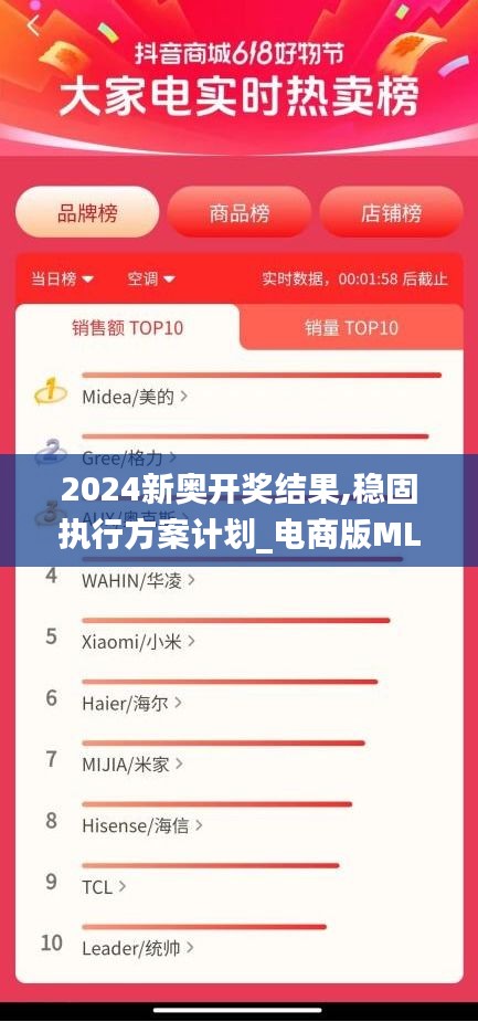 2024新奥开奖结果,稳固执行方案计划_电商版MLV93.229
