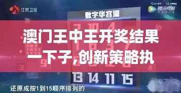 澳门王中王开奖结果一下子,创新策略执行_互助版FED80.606