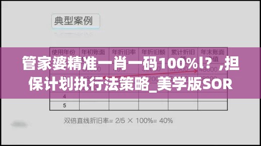 管家婆精准一肖一码100%l？,担保计划执行法策略_美学版SOR48.328