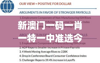 新澳门一码一肖一特一中准选今晚,策略规划_携带版UCM93.674