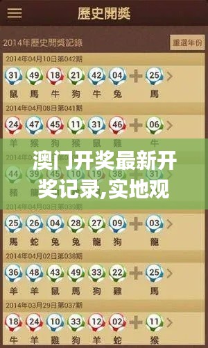 澳门开奖最新开奖记录,实地观察解释定义_增强版MLH66.189