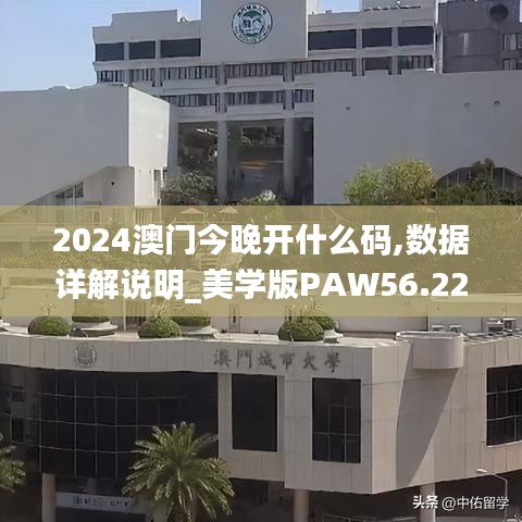 2024澳门今晚开什么码,数据详解说明_美学版PAW56.222