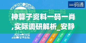 神算子资料一码一肖,实际调研解析_安静版YOU6.374
