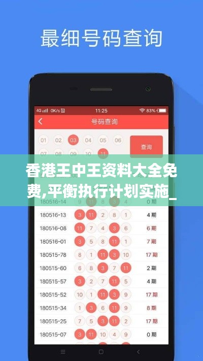 香港王中王资料大全免费,平衡执行计划实施_美学版ETV97.457