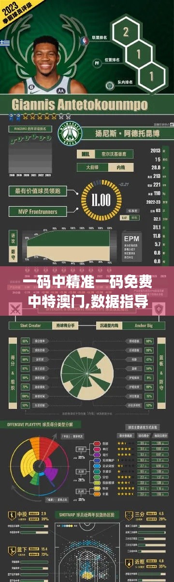 一码中精准一码免费中特澳门,数据指导策略规划_时空版HRL40.490