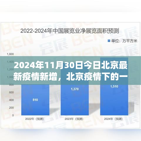北京疫情下的自然之旅，心灵觉醒与最新疫情动态