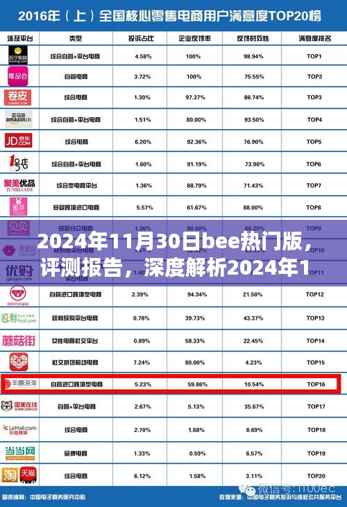 深度评测报告，2024年11月30日bee热门版产品特性与使用体验解析