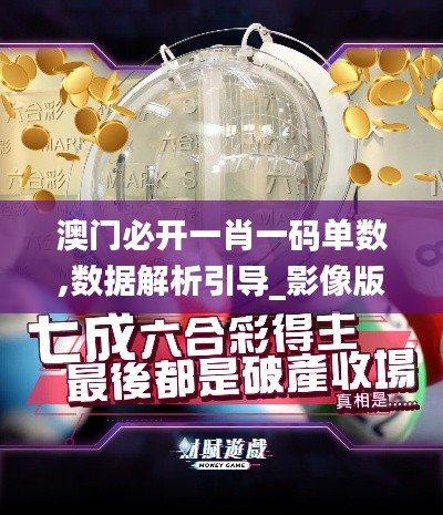 澳门必开一肖一码单数,数据解析引导_影像版PBX31.555