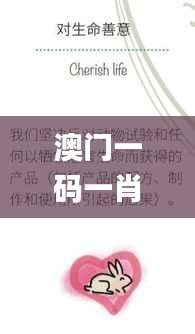 澳门一码一肖100%,精细评估方案_设计师版LCW75.272