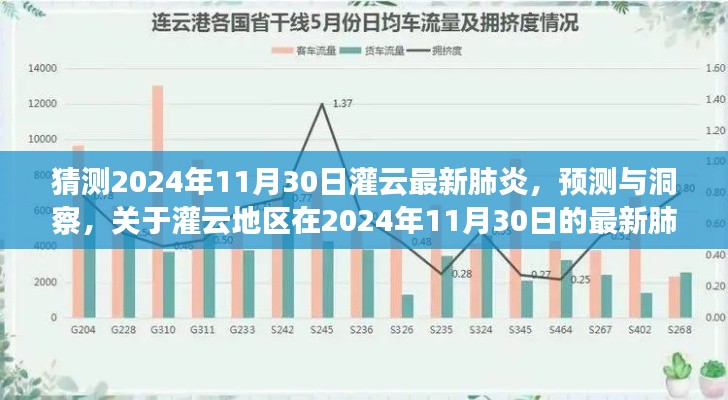 灌云地区最新肺炎动态分析，预测与洞察，关于灌云地区在2024年11月30日的动态报告