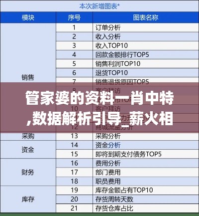 管家婆的资料一肖中特,数据解析引导_薪火相传版BOF89.166