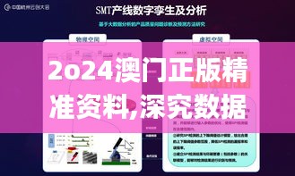 2o24澳门正版精准资料,深究数据应用策略_远光版CVB45.632