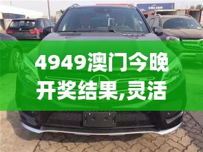 4949澳门今晚开奖结果,灵活性执行方案_迅捷版AMG33.699