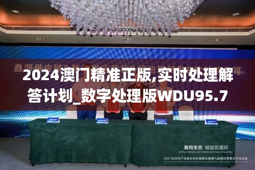 2024澳门精准正版,实时处理解答计划_数字处理版WDU95.758