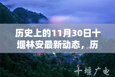 历史上的11月30日十堰林安最新动态概览，最新动态概览与回顾