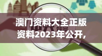 澳门资料大全正版资料2023年公开,实地观察数据设计_颠覆版FFH48.820