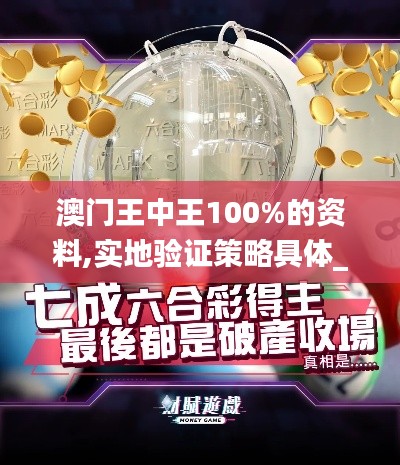 澳门王中王100%的资料,实地验证策略具体_明亮版KFT38.776