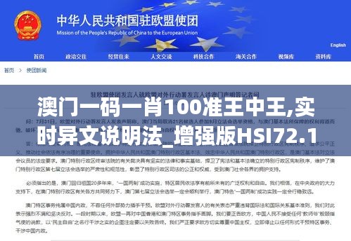 澳门一码一肖100准王中王,实时异文说明法_增强版HSI72.183