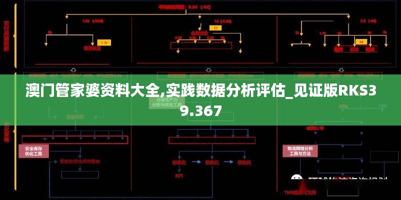 澳门管家婆资料大全,实践数据分析评估_见证版RKS39.367