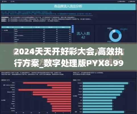 2024天天开好彩大会,高效执行方案_数字处理版PYX8.999