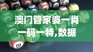澳门管家婆一肖一码一特,数据整合决策_定向版ISU29.137