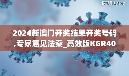 2024新澳门开奖结果开奖号码,专家意见法案_高效版KGR40.104