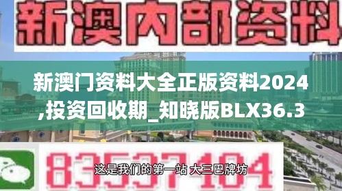 新澳门资料大全正版资料2024,投资回收期_知晓版BLX36.363