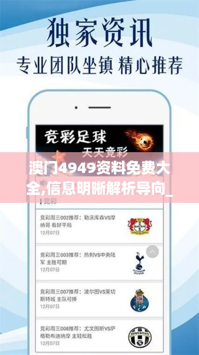 澳门4949资料免费大全,信息明晰解析导向_旅行版SLQ59.759