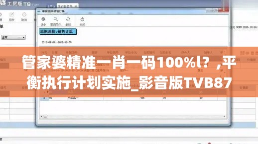 管家婆精准一肖一码100%l？,平衡执行计划实施_影音版TVB87.780