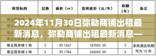 聚焦未来租赁市场趋势，弥勒商铺出租最新消息（2024年11月）