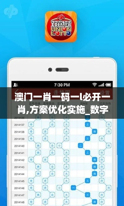 澳门一肖一码一l必开一肖,方案优化实施_数字版JQD17.686