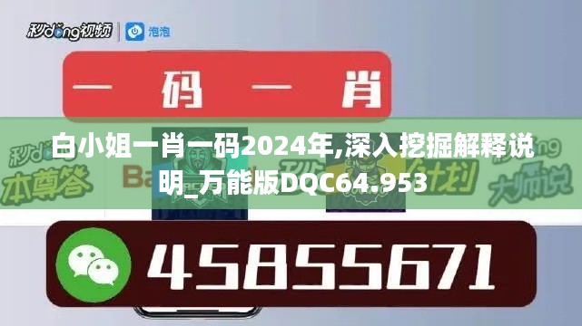 白小姐一肖一码2024年,深入挖掘解释说明_万能版DQC64.953