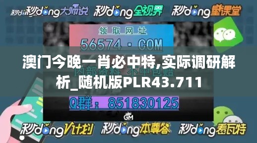 澳门今晚一肖必中特,实际调研解析_随机版PLR43.711