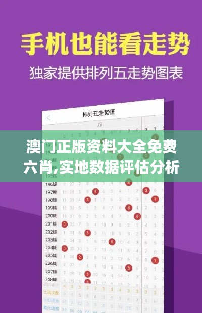 澳门正版资料大全免费六肖,实地数据评估分析_DIY版RIG9.140