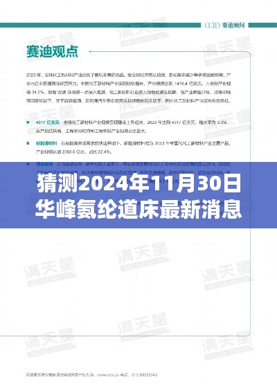 揭秘华峰氨纶道床最新动态，未来走向预测与最新消息揭晓（独家猜测）