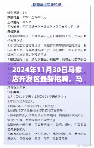 马家店开发区最新招聘深度测评与全面剖析（2024年11月版）