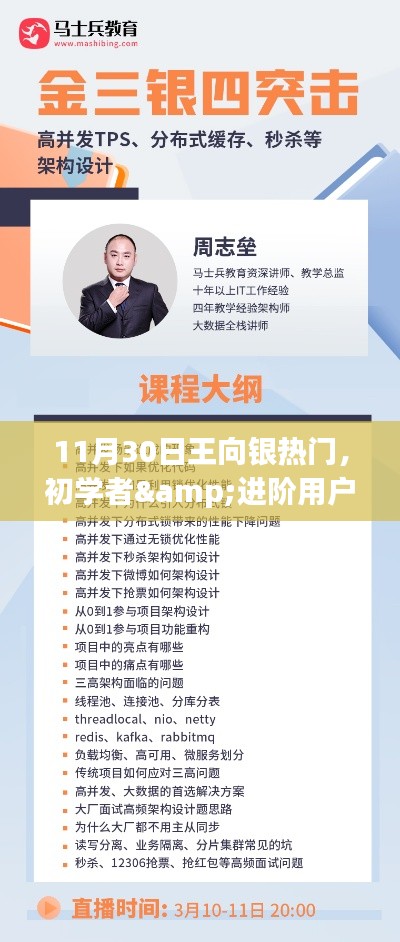 11月30日王向银热门任务攻略，初学者与进阶用户必备技能掌握指南