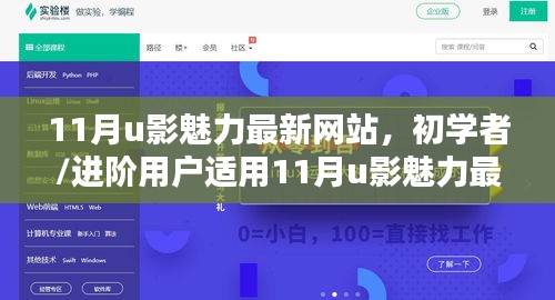 11月u影魅力最新网站使用指南，适合初学者与进阶用户