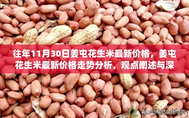 姜屯花生米最新价格及走势深度解读与分析报告