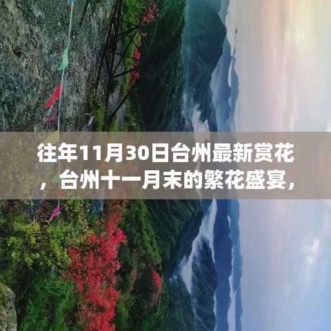 台州十一月末繁花盛宴，赏花之旅与自信成长的励志之旅