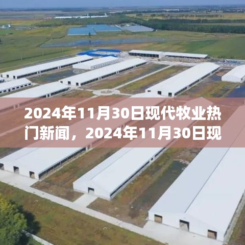 2024年11月30日现代牧业新闻热点，行业革新与未来展望