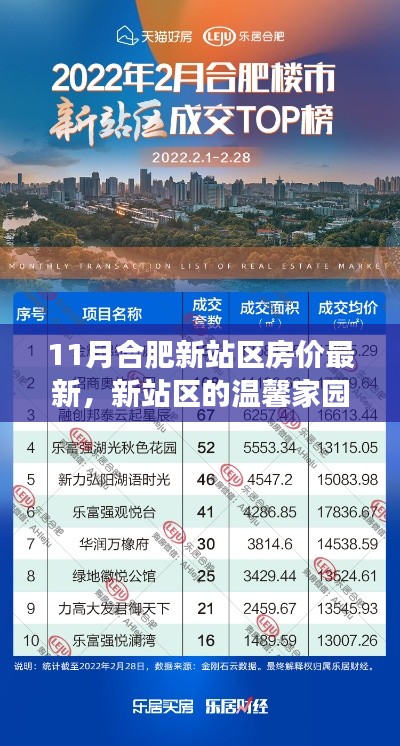 合肥新站区房价最新动态，十一月温馨家园与友情绽放之旅