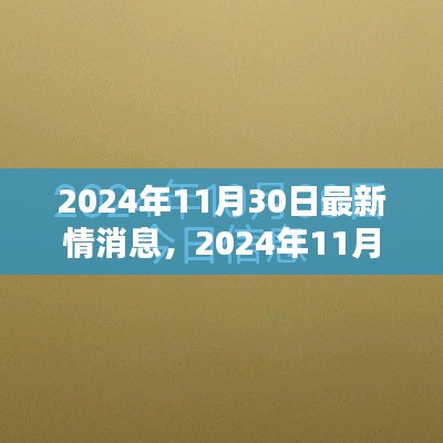 2024年11月30日最新情势深度解析与消息汇总
