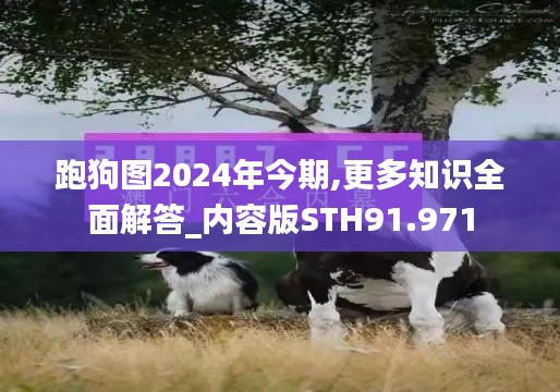 跑狗图2024年今期,更多知识全面解答_内容版STH91.971